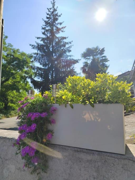 Studio Apartman Tadic Matulji Exteriér fotografie